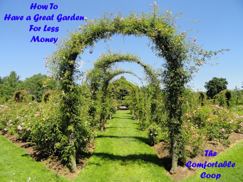 How-To-Have-a-Great-Garden