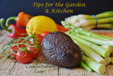 tips-for-the-garden-&-kitch