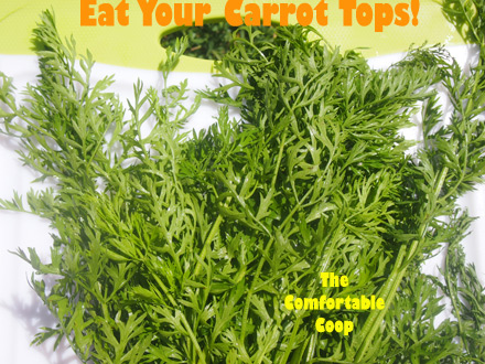 Eat-your-carrot-tops