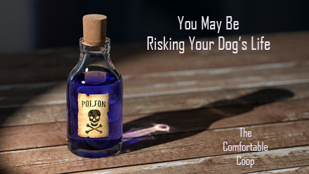 Risking-your-dog's-life