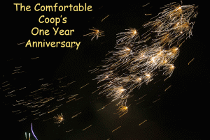 The Comfortable Coop's One Year Anniversay!